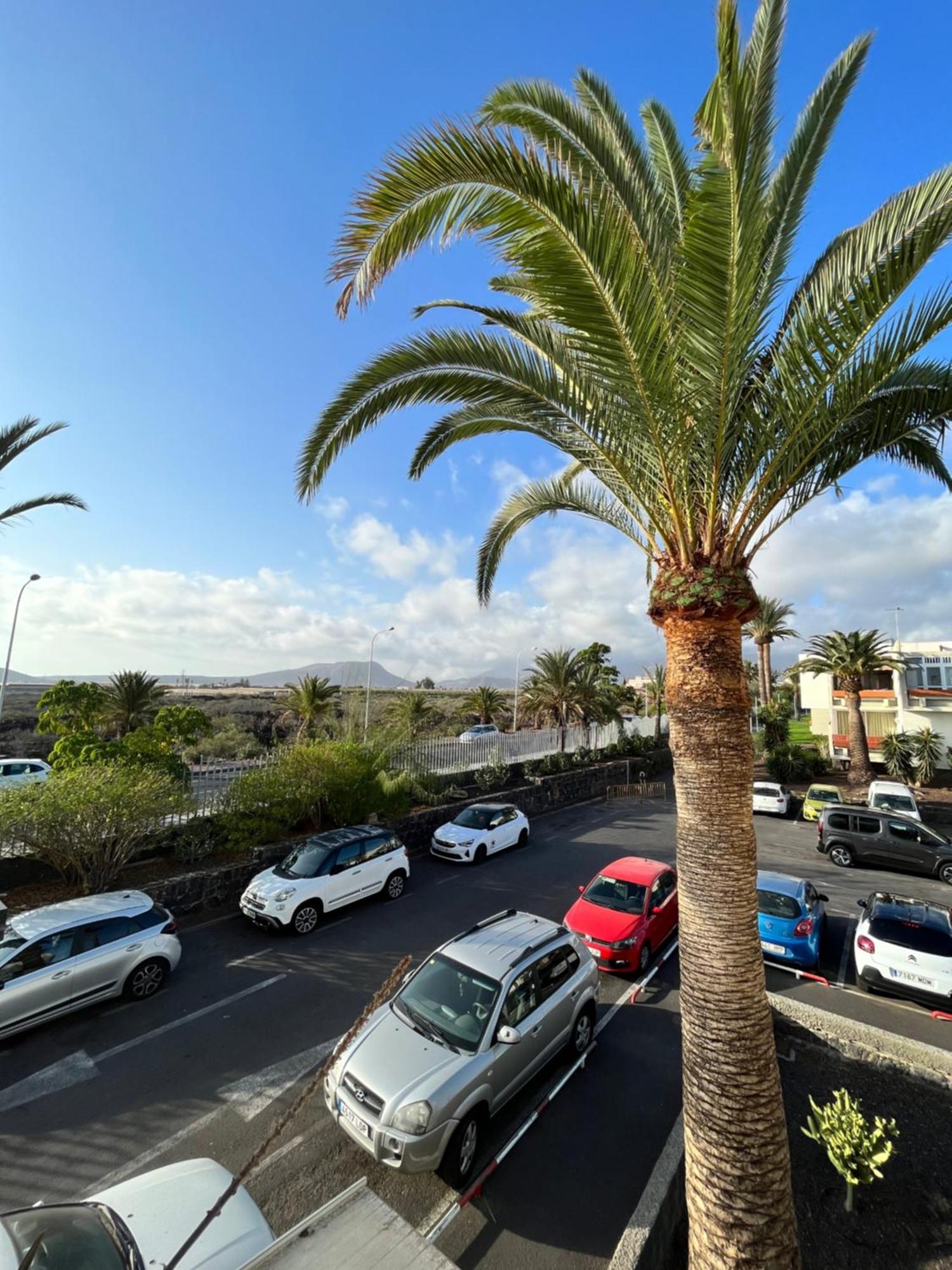 ארונה Primavera Holiday Apartment מראה חיצוני תמונה
